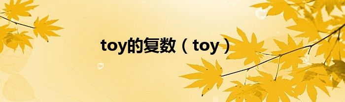 toy的复数（toy）