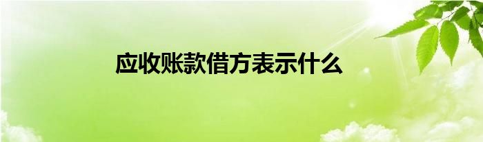 应收账款借方表示什么