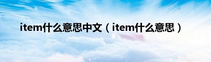 item什么意思中文（item什么意思）