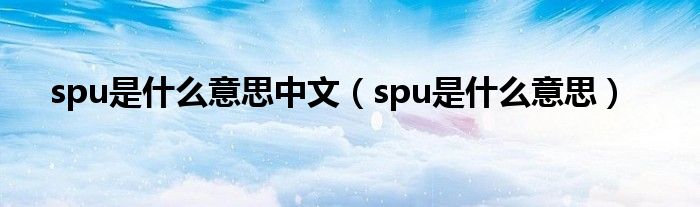 spu是什么意思中文（spu是什么意思）