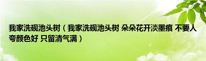 我家洗砚池头树（我家洗砚池头树 朵朵花开淡墨痕 不要人夸颜色好 只留清气满）