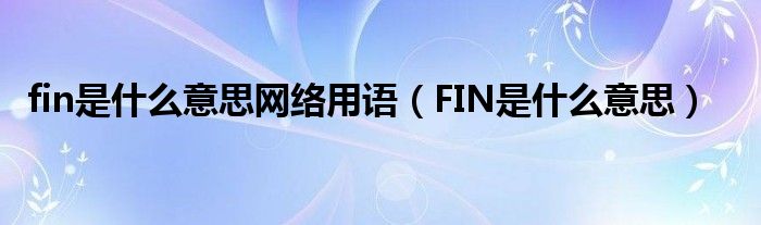 fin是什么意思网络用语（FIN是什么意思）