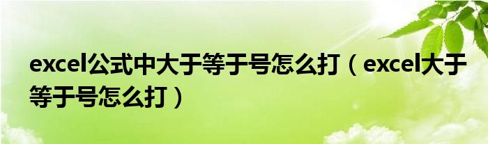 excel公式中大于等于号怎么打（excel大于等于号怎么打）