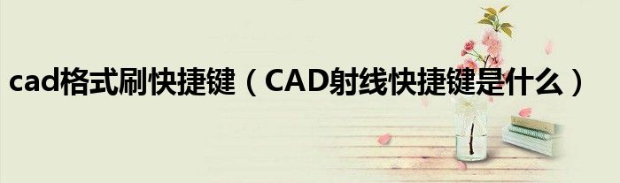 cad格式刷快捷键（CAD射线快捷键是什么）