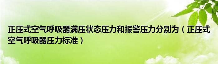 正压式空气呼吸器满压状态压力和报警压力分别为（正压式空气呼吸器压力标准）