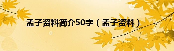 孟子资料简介50字（孟子资料）