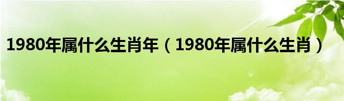 1980年属什么生肖年（1980年属什么生肖）