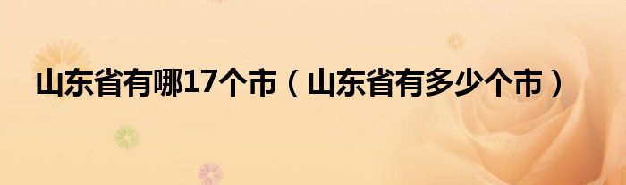 山东省有哪17个市（山东省有多少个市）