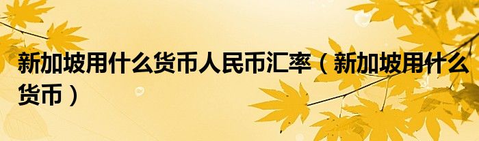 新加坡用什么货币人民币汇率（新加坡用什么货币）