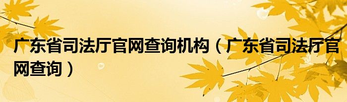 广东省司法厅官网查询机构（广东省司法厅官网查询）