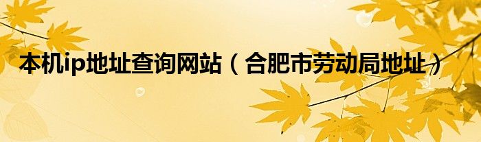 本机ip地址查询网站（合肥市劳动局地址）