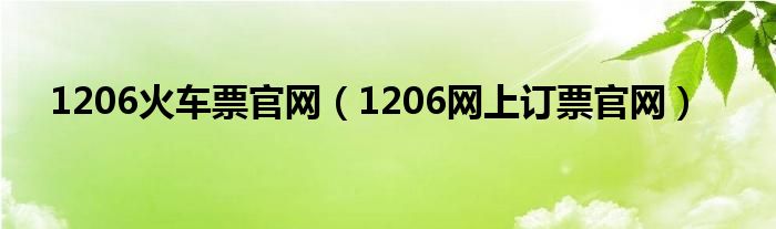 1206火车票官网（1206网上订票官网）