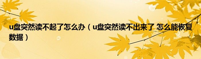 u盘突然读不起了怎么办（u盘突然读不出来了 怎么能恢复数据）