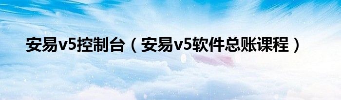 安易v5控制台（安易v5软件总账课程）