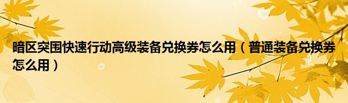 暗区突围快速行动高级装备兑换券怎么用（普通装备兑换券怎么用）