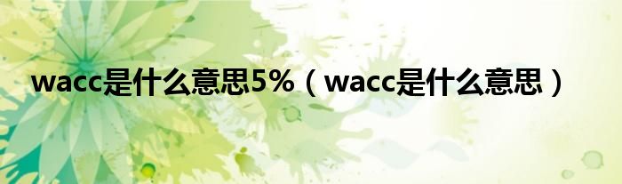 wacc是什么意思5%（wacc是什么意思）