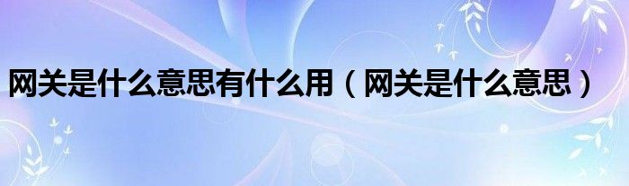 网关是什么意思有什么用（网关是什么意思）