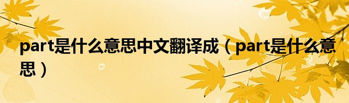 part是什么意思中文翻译成（part是什么意思）