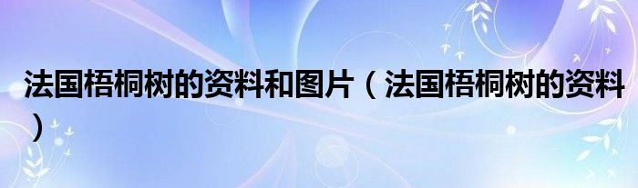 法国梧桐树的资料和图片（法国梧桐树的资料）