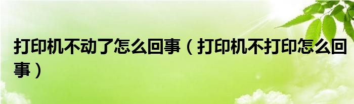 打印机不动了怎么回事（打印机不打印怎么回事）