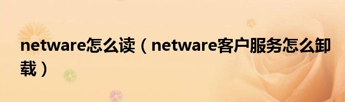 netware怎么读（netware客户服务怎么卸载）