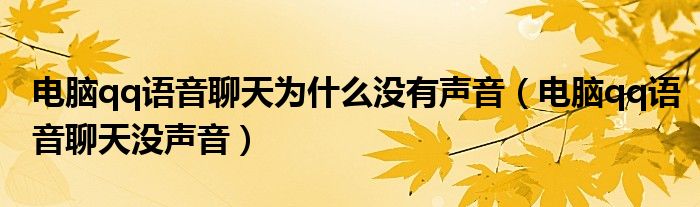 电脑qq语音聊天为什么没有声音（电脑qq语音聊天没声音）