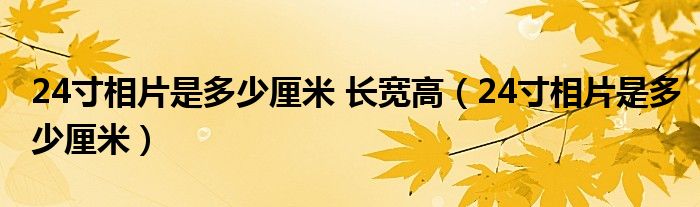 24寸相片是多少厘米 长宽高（24寸相片是多少厘米）