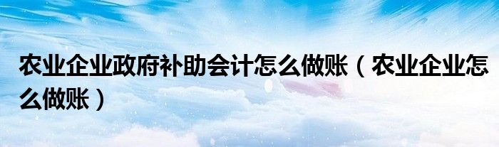 农业企业政府补助会计怎么做账（农业企业怎么做账）