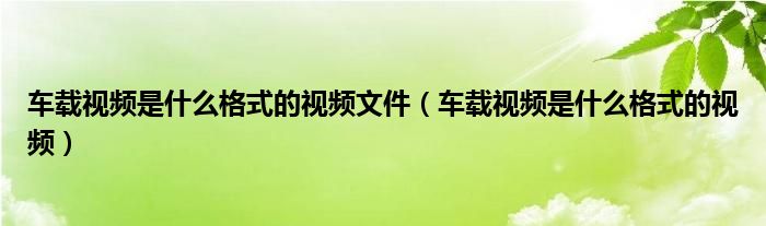 车载视频是什么格式的视频文件（车载视频是什么格式的视频）