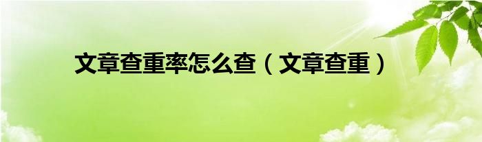 文章查重率怎么查（文章查重）