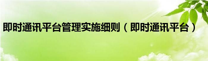 即时通讯平台管理实施细则（即时通讯平台）