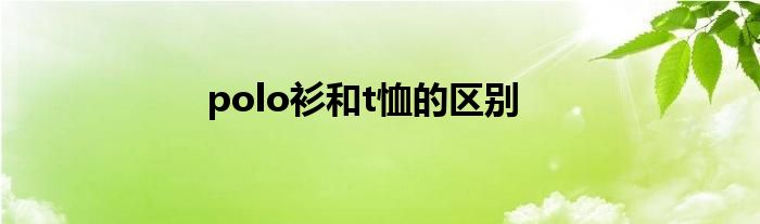 polo衫和t恤的区别