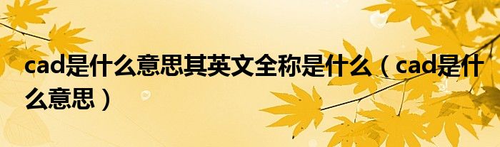 cad是什么意思其英文全称是什么（cad是什么意思）