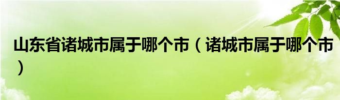 山东省诸城市属于哪个市（诸城市属于哪个市）