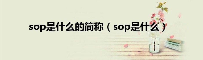 sop是什么的简称（sop是什么）