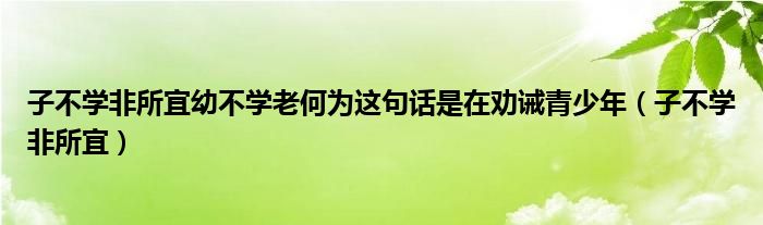 子不学非所宜幼不学老何为这句话是在劝诫青少年（子不学非所宜）