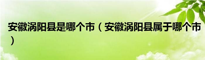 安徽涡阳县是哪个市（安徽涡阳县属于哪个市）