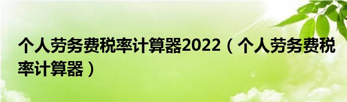 个人劳务费税率计算器2022（个人劳务费税率计算器）