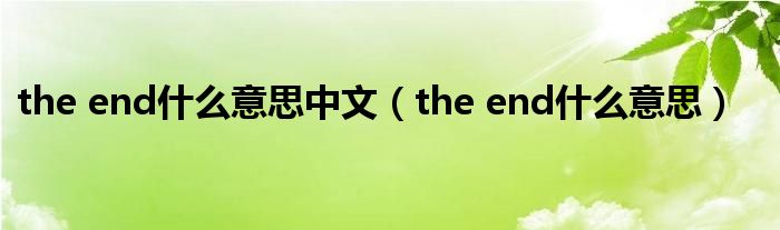 the end什么意思中文（the end什么意思）