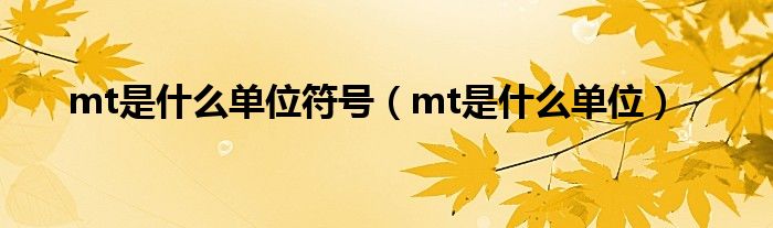 mt是什么单位符号（mt是什么单位）