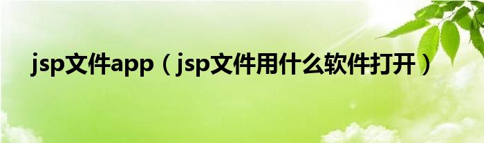 jsp文件app（jsp文件用什么软件打开）