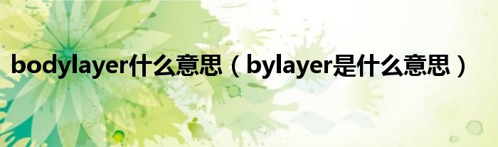 bodylayer什么意思（bylayer是什么意思）