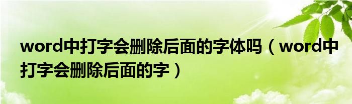 word中打字会删除后面的字体吗（word中打字会删除后面的字）