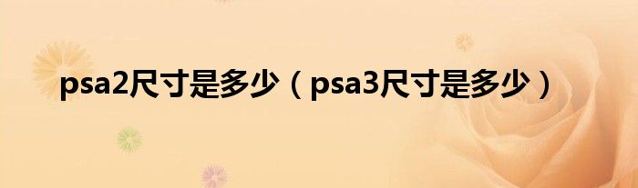 psa2尺寸是多少（psa3尺寸是多少）