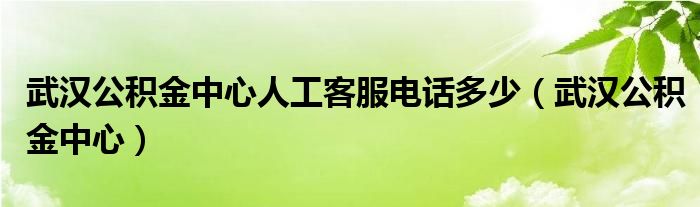 武汉公积金中心人工客服电话多少（武汉公积金中心）