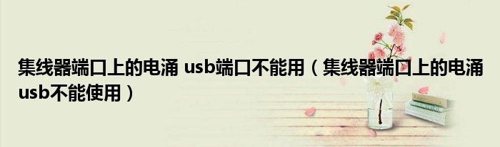 集线器端口上的电涌 usb端口不能用（集线器端口上的电涌usb不能使用）