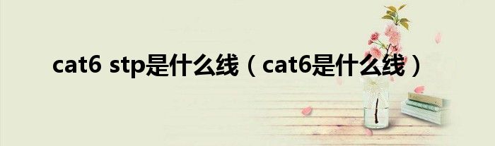 cat6 stp是什么线（cat6是什么线）