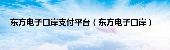 东方电子口岸支付平台（东方电子口岸）