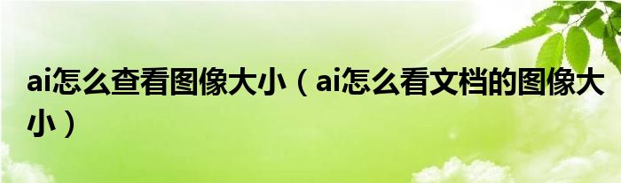 ai怎么查看图像大小（ai怎么看文档的图像大小）