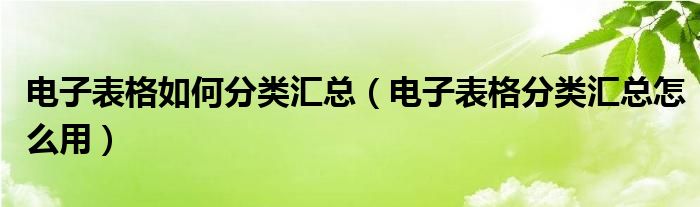 电子表格如何分类汇总（电子表格分类汇总怎么用）